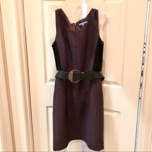 Purple / Black Antonio Melani Belted Dress